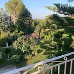 Anatoli Family House